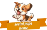 socialpupshome