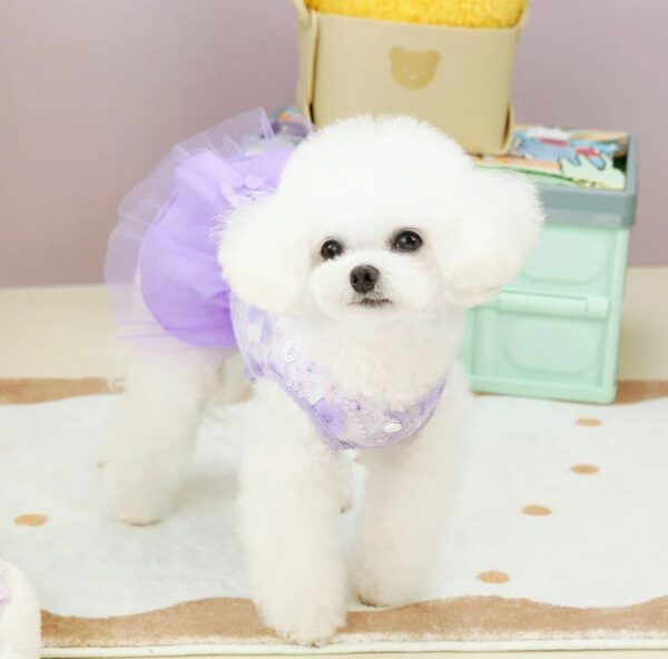 dog dress