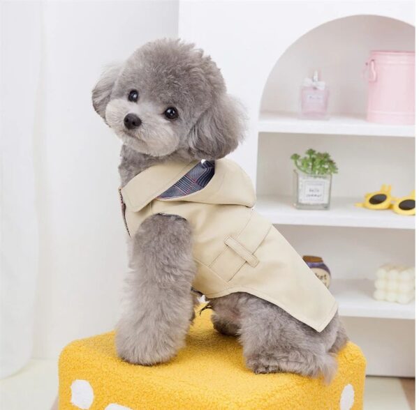 Cheap Dog Spring Jacket