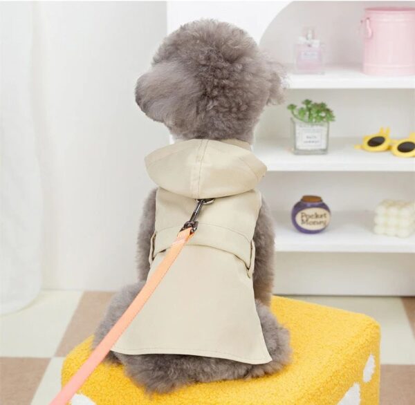 Cheap Dog Spring Jacket