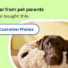 Eukanuba Puppy with Lamb & Rice Canned Dog Food