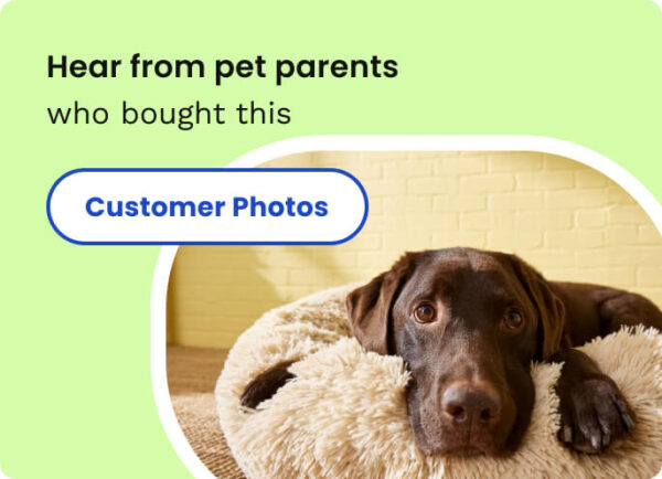 Eukanuba Puppy with Lamb & Rice Canned Dog Food