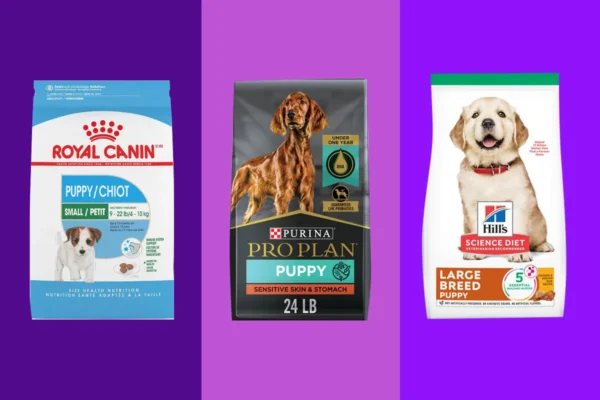 The Very Best Dog Food for Puppies