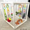 buy puppies pay gym in usa