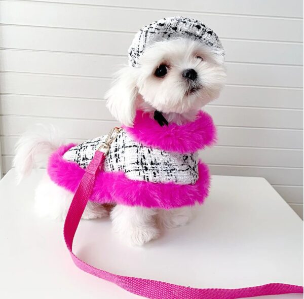 Elegance dog cape dress