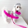 Elegance dog cape dress