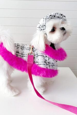 Elegance dog cape dress