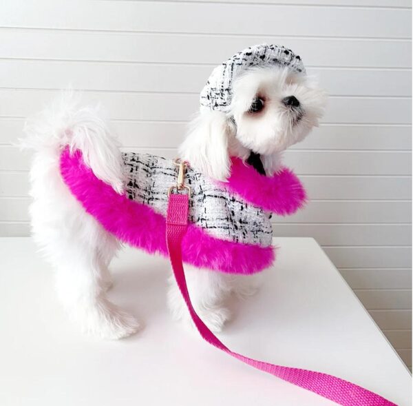 Elegance dog cape dress