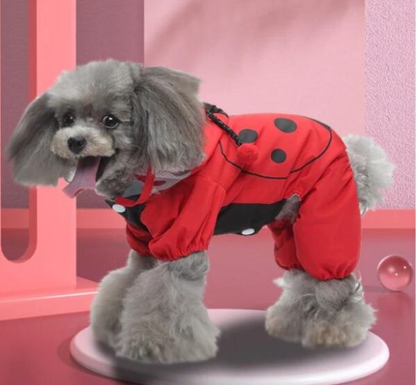 cheap LadyBug Dog dress