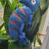 Cute Durable Dog Toy Blue Dogsofinstagram/ Best Dog Toys. Buy Now. Rope Plush. - Image 9
