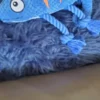 Cute Durable Dog Toy Blue Dogsofinstagram/ Best Dog Toys. Buy Now. Rope Plush. - Image 10