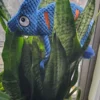 Cute Durable Dog Toy Blue Dogsofinstagram/ Best Dog Toys. Buy Now. Rope Plush. - Image 3
