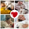 Low Decibel Heartbeat Puppy Training Toys Snuggle Anxiety Relieves Sleeping Dog - Image 6