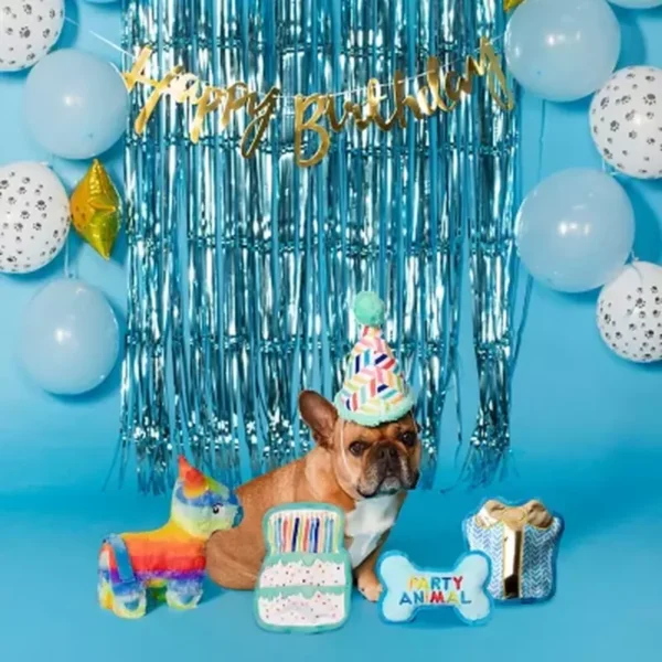Party Animal Birthday Box Dog Toy Bundle, 5-Piece Set Blue - Image 5