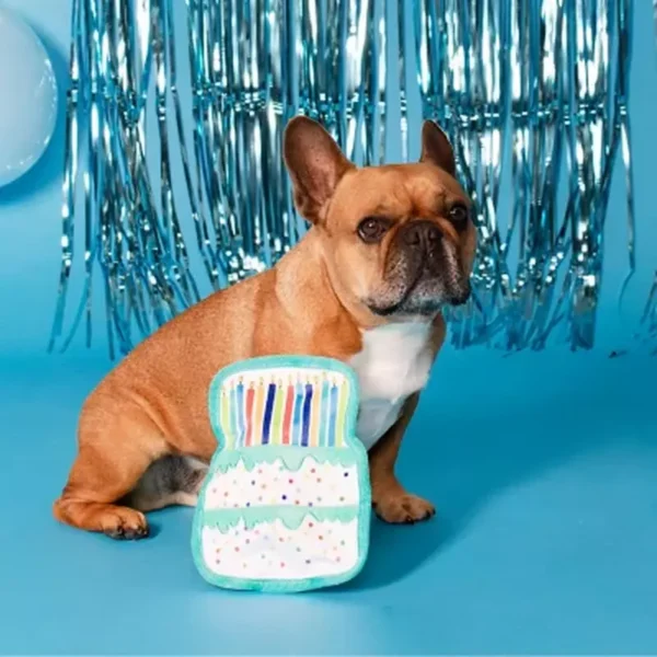 Party Animal Birthday Box Dog Toy Bundle, 5-Piece Set Blue - Image 6