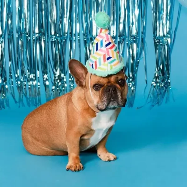 Party Animal Birthday Box Dog Toy Bundle, 5-Piece Set Blue - Image 7