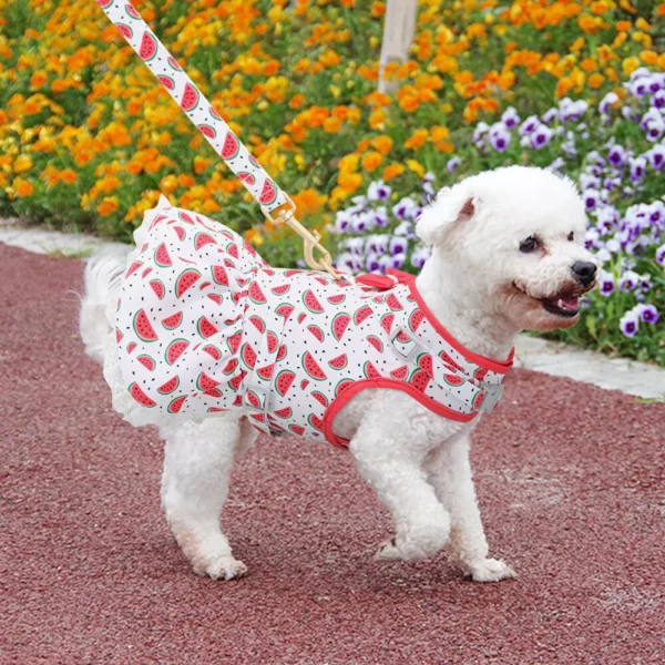 buy puppies dresses